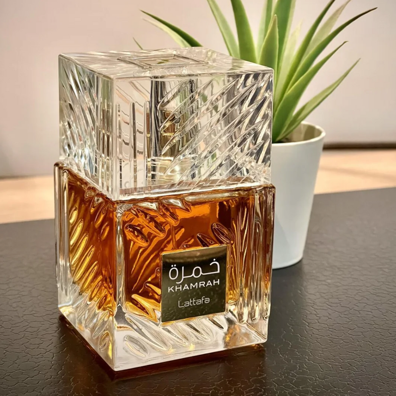 🌆 Noche de Hombre 2 perfumes Hombre (100ml) - 33% OFF + Regalo PORTA PERFUMES